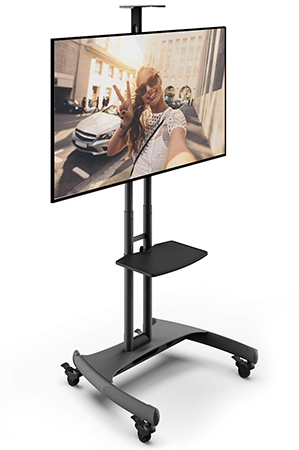 DTS1000 Height Adjustable Monitor Stand